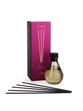 QUEEN HOME STICKS 100ml